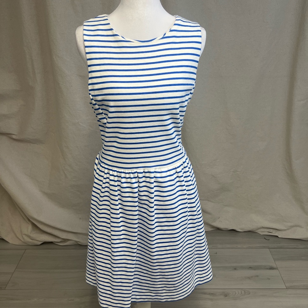 J. Crew Blue and White Striped Sleeveless Mini Dress